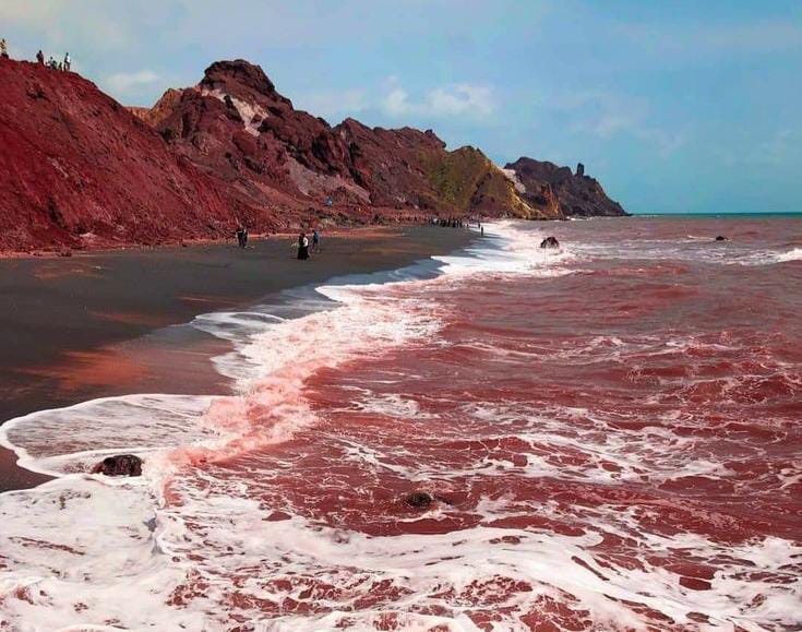 Red Tide